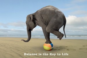 balance-is-the-key